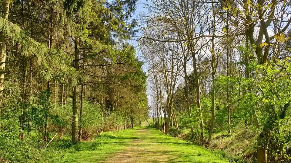 Highfileds_Woodlands